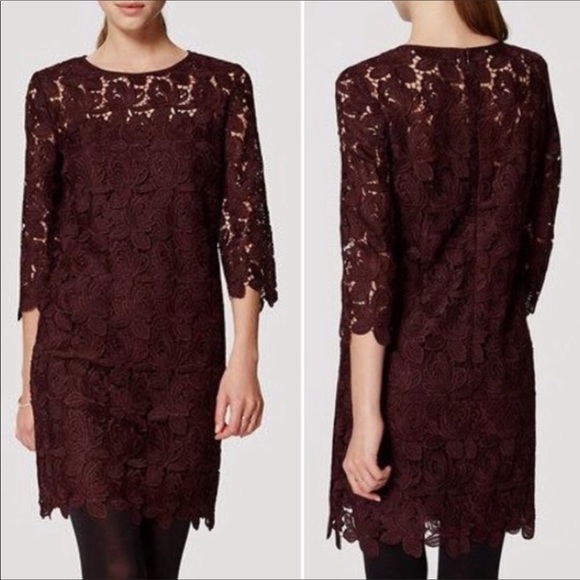 NWT LOFT Wine Lace Cocktail Dress - Picture 4 of 5